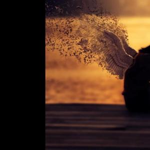 Protože sem zlomený odešla jsi pryč