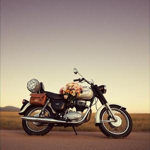 Quarante-Cinq Ans D'Amour