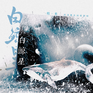 【瑕·光 】高功能自闭症律师——白鲸星