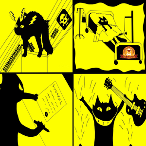 Eletrocutaram Meu Gato