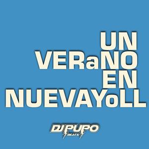 UN VERaNO EN NUEVAYOLL