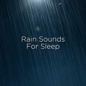 ASMR Rain Sounds