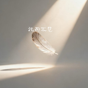 视而不见