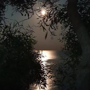 Bin Yerimden Parçalandım