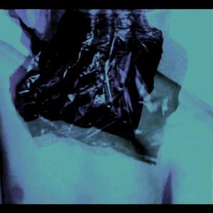 P.C.L.- R. To Danger