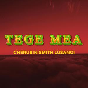 Tege mea (Gospel)