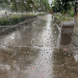 多情的人 伴奏2.wav