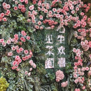 温柔漫过人间