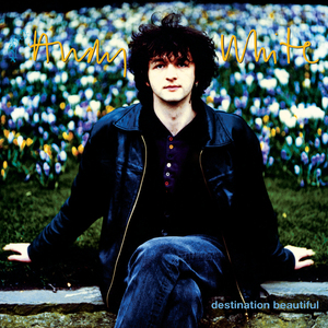 I Couldn't Leave You