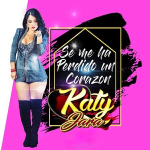 Se Me ha Perdido Un Corazón