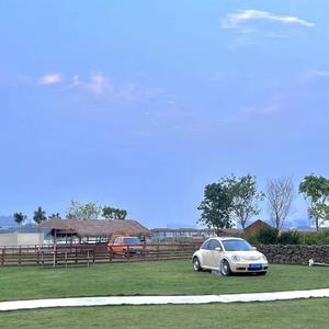 有内涵非常有趣的歌