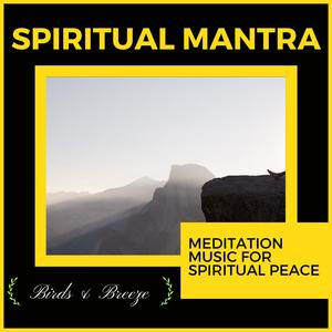 Soothing Sonority (Original Mix)