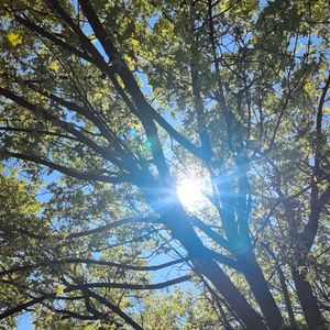 我的影子和你很像