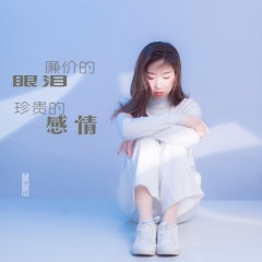 廉价的眼泪珍贵的感情 (DJ默涵版)