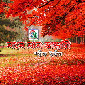 Tomar Rohomoter Bhandari Baba