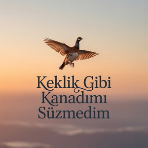 Keklik Gibi Kanadımı Süzmedim