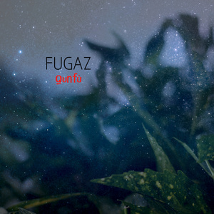 Fugaz