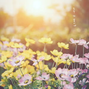 모두 다 꽃이야