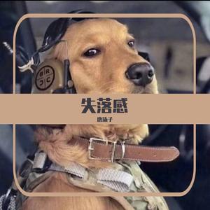 东北民谣（翻自 小沈阳）