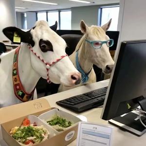 宇宙超人起床了