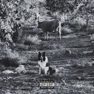 בחירה (Radio Edit)