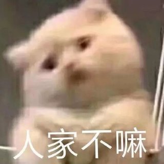 纯音杂食党，每首都有新鲜感（一）