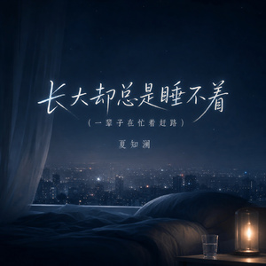 长大却总是睡不着(一辈子在忙着赶路)