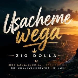 Usacheme wega