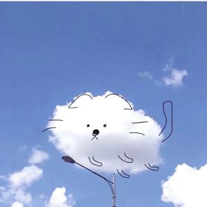 陪你去流浪（翻唱  薛之谦）