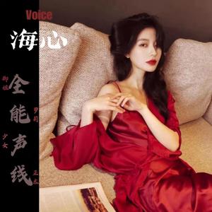 陕西广播电台宣传声海心