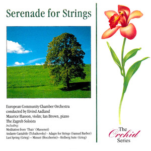 Serenade for Strings, Op. 48: Waltz