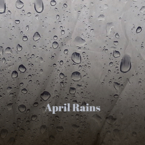 Stately Royal Mile in the Mist