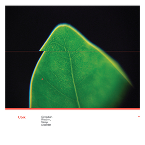 Hypnic Jerk (Zeitgeber)