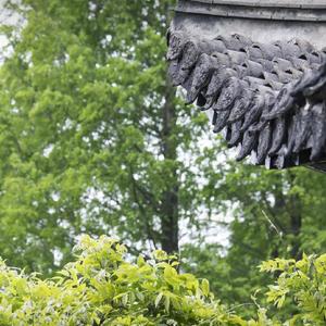 丢失的记忆 (15)