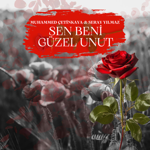 Sen Beni Güzel Unut