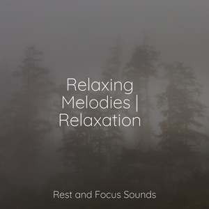 Awash on a Distant Sea