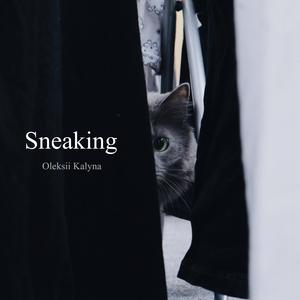 Sneaking