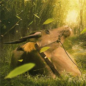 牧笛——十二生肖系列之牛