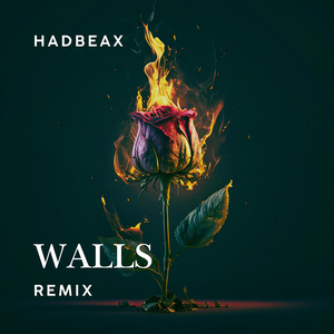 Walls (Remix)