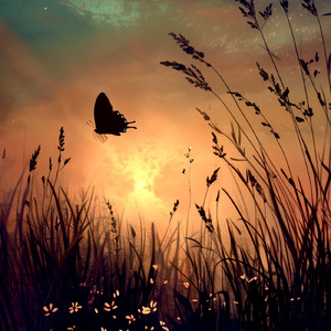 ポストのない灯り