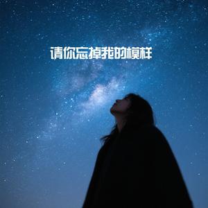 请你忘掉我的模样