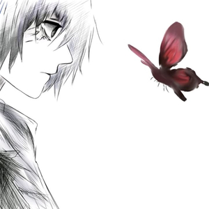 The Fate of Night