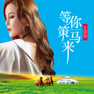 等你策马来 (DJ何鹏版伴奏)