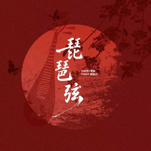 琵琶弦(新编版)