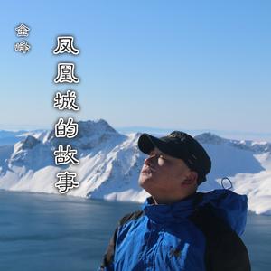凤凰城的故事