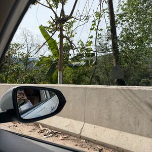 苔痕织梦