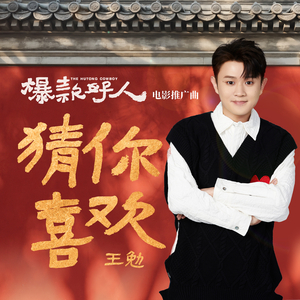 猜你喜欢 (伴奏)