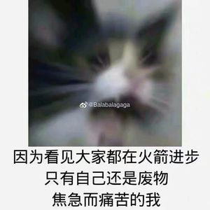 翻唱Kc段Free out2023 cypher