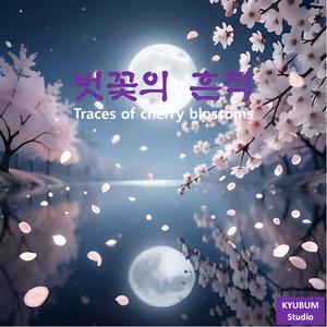 벗꽃의 흔적(Traces of cherry blossoms)