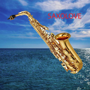 SAXOSOUL